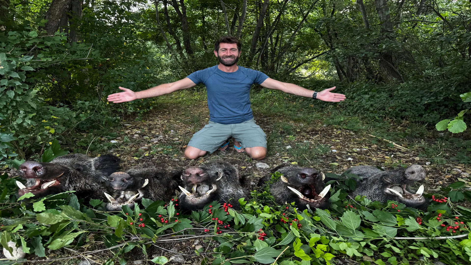Wild Boar Hunting Türkiye