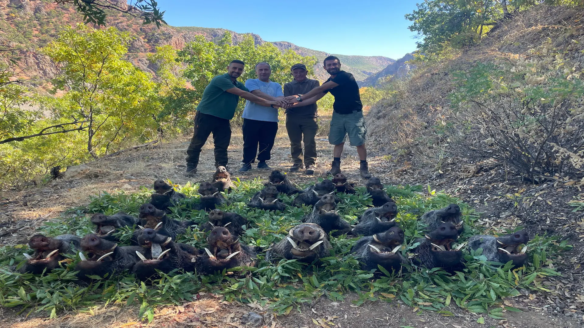 Driven Hunt Türkiye