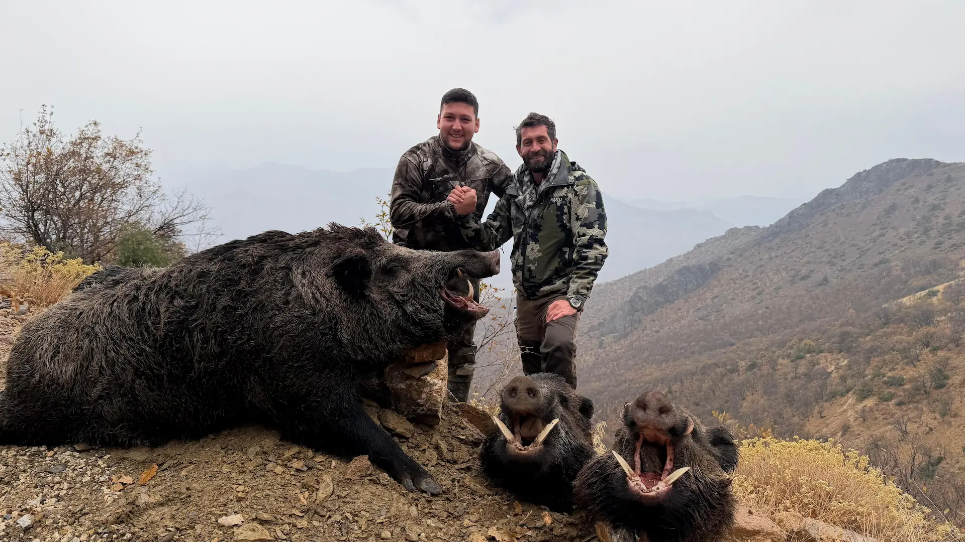 Chukar Hunting Türkiye